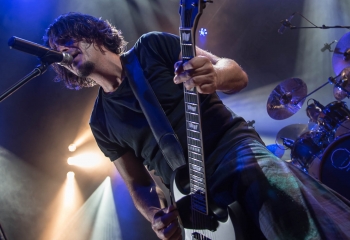 Pertness - Photo By Marc