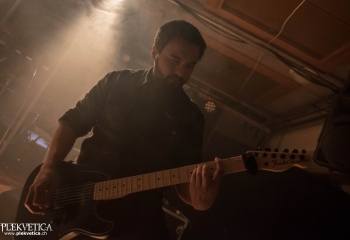 Zleeping Elephants - Photo By Marc