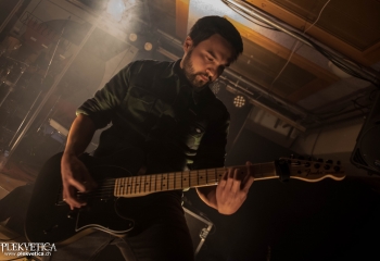 Zleeping Elephants - Photo By Marc