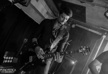 Zleeping Elephants - Photo By Marc