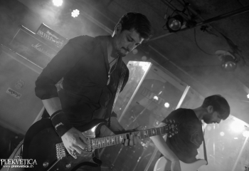 Zleeping Elephants - Photo By Marc