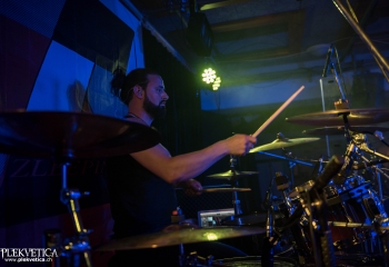 Zleeping Elephants - Photo By Marc