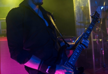 Zleeping Elephants - Photo By Marc