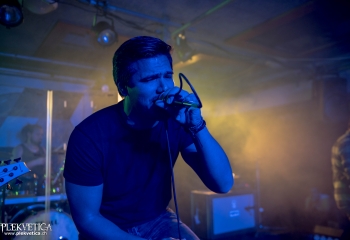 Zleeping Elephants - Photo By Marc