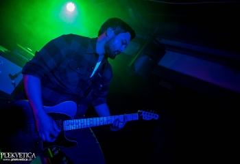 Zleeping Elephants - Photo By Marc