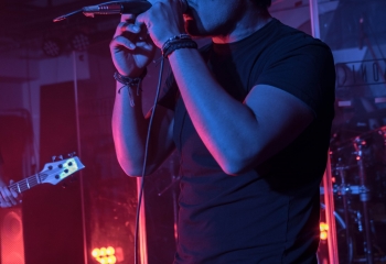 Zleeping Elephants - Photo By Marc