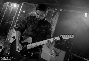 Zleeping Elephants - Photo By Marc