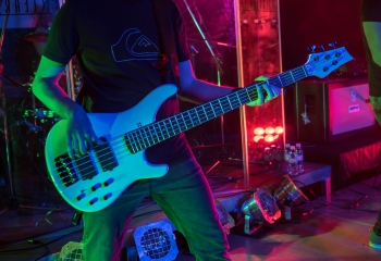 Zleeping Elephants - Photo By Marc