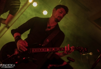 Zleeping Elephants - Photo By Marc