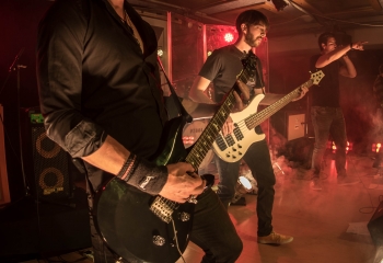 Zleeping Elephants - Photo By Marc