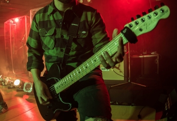 Zleeping Elephants - Photo By Marc