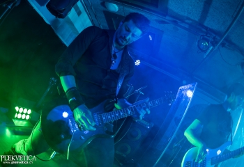 Zleeping Elephants - Photo By Marc